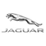 jaguar eyewear